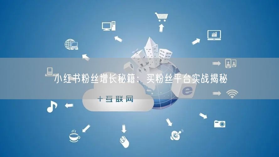 小红书粉丝增长秘籍：买粉丝平台实战揭秘
