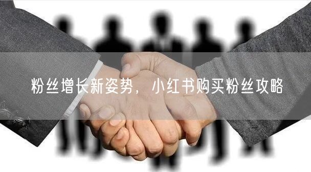 粉丝增长新姿势，小红书购买粉丝攻略