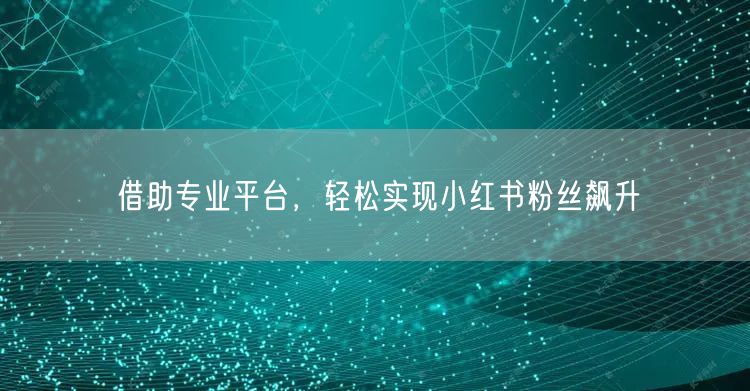 借助专业平台，轻松实现小红书粉丝飙升