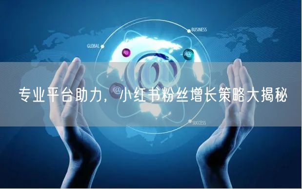 专业平台助力，小红书粉丝增长策略大揭秘