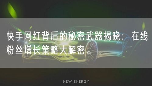快手网红背后的秘密武器揭晓：在线粉丝增长策略大解密。