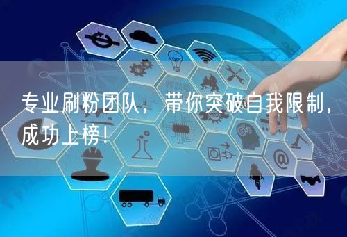 专业刷粉团队，带你突破自我限制，成功上榜！