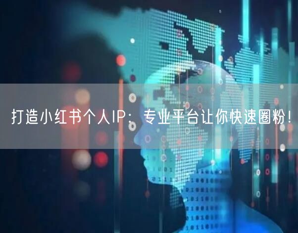 打造小红书个人IP：专业平台让你快速圈粉！