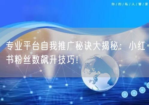 专业平台自我推广秘诀大揭秘：小红书粉丝数飙升技巧！