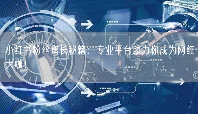 小红书粉丝增长秘籍：专业平台助力你成为网红大咖！