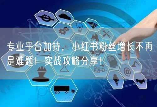 专业平台加持，小红书粉丝增长不再是难题！实战攻略分享！