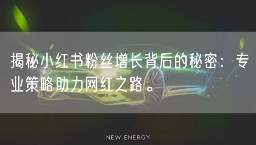 揭秘小红书粉丝增长背后的秘密：专业策略助力网红之路。