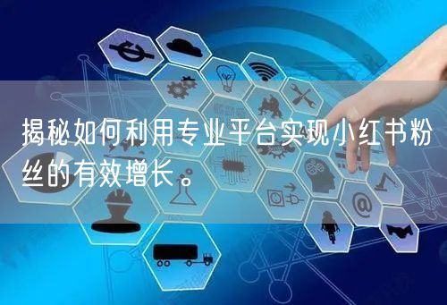 揭秘如何利用专业平台实现小红书粉丝的有效增长。