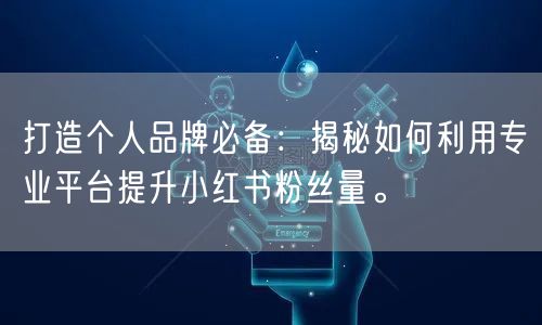 打造个人品牌必备：揭秘如何利用专业平台提升小红书粉丝量。