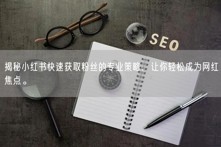 揭秘小红书快速获取粉丝的专业策略，让你轻松成为网红焦点。