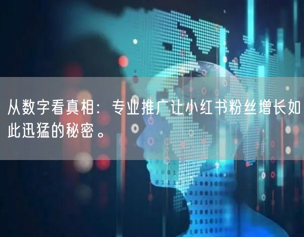 从数字看真相：专业推广让小红书粉丝增长如此迅猛的秘密。