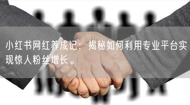 小红书网红养成记：揭秘如何利用专业平台实现惊人粉丝增长。