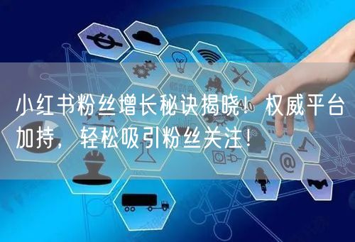 小红书粉丝增长秘诀揭晓！权威平台加持，轻松吸引粉丝关注！