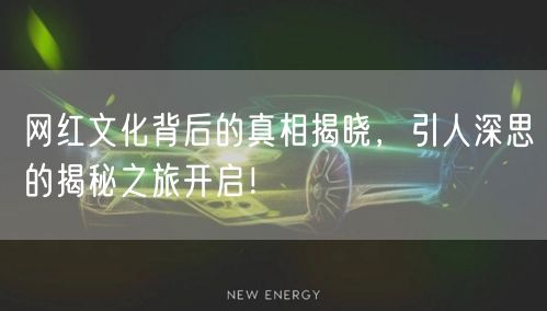 网红文化背后的真相揭晓，引人深思的揭秘之旅开启！