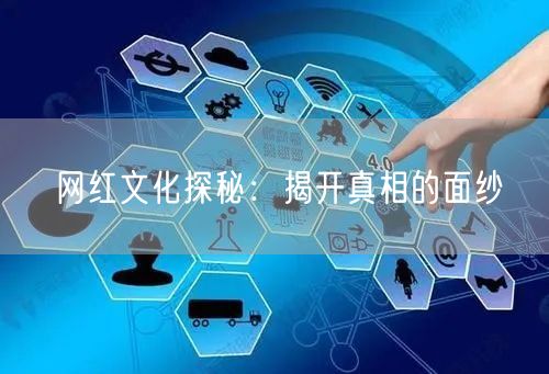 网红文化探秘：揭开真相的面纱