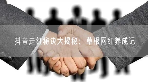 抖音走红秘诀大揭秘：草根网红养成记