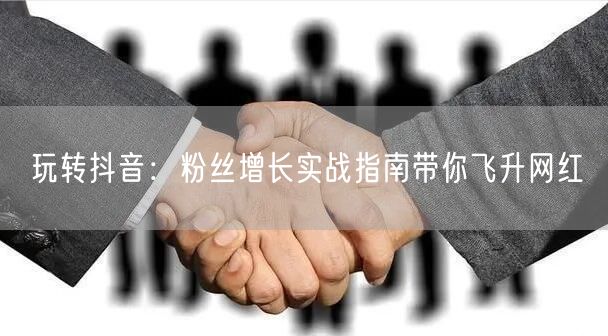 玩转抖音：粉丝增长实战指南带你飞升网红