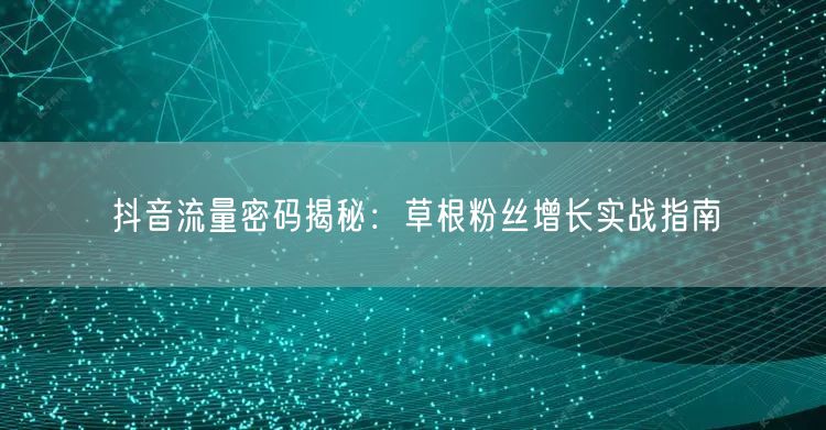 抖音流量密码揭秘：草根粉丝增长实战指南
