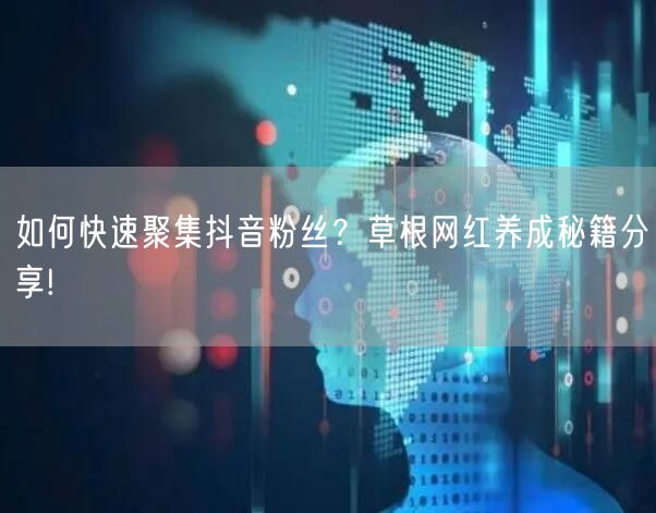 如何快速聚集抖音粉丝？草根网红养成秘籍分享!