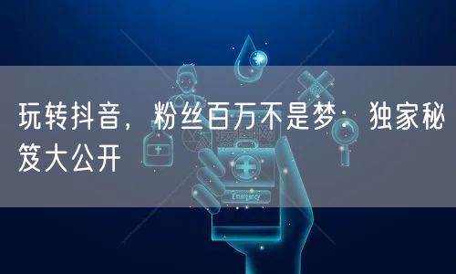 玩转抖音，粉丝百万不是梦：独家秘笈大公开