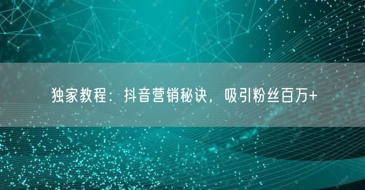 独家教程：抖音营销秘诀，吸引粉丝百万+