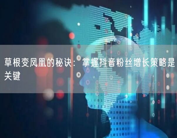 草根变凤凰的秘诀：掌握抖音粉丝增长策略是关键