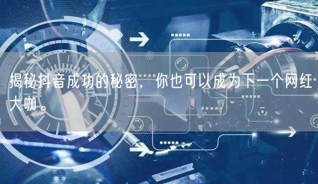 揭秘抖音成功的秘密，你也可以成为下一个网红大咖。