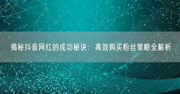 揭秘抖音网红的成功秘诀：高效购买粉丝策略全解析