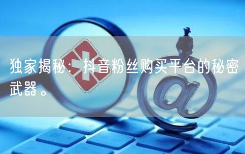 独家揭秘：抖音粉丝购买平台的秘密武器。