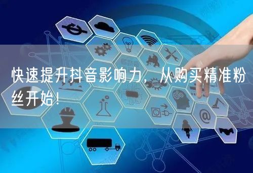 快速提升抖音影响力，从购买精准粉丝开始！